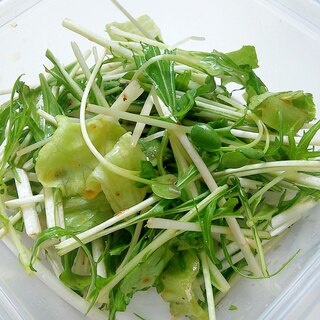 レタスと水菜とかいわれのグリーンサラダ★中華風味